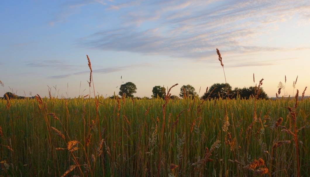 Ferienhaus Bretagne TyCoz - Abendspaziergang