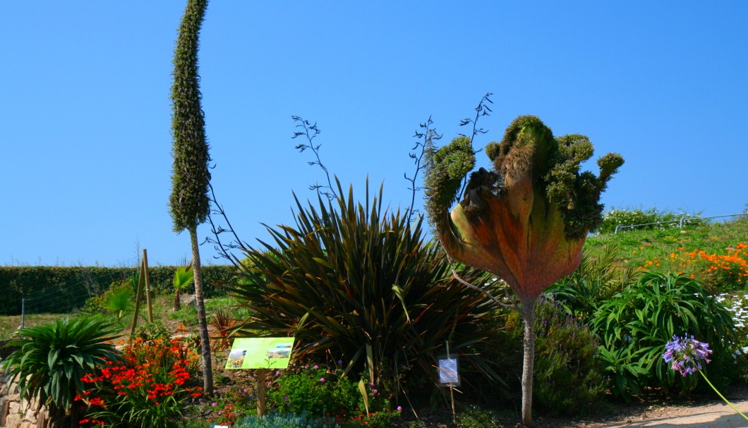 Bretagne Gärten: Botanischer Garten Roscoff 01