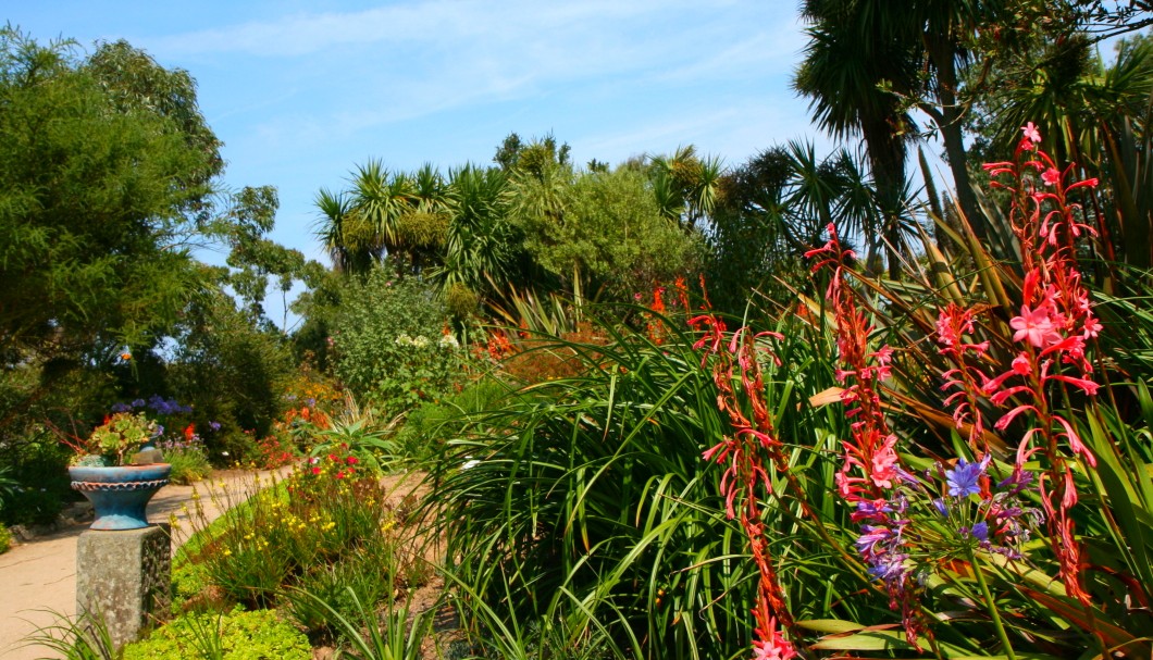 Bretagne Gärten: Botanischer Garten Roscoff 05