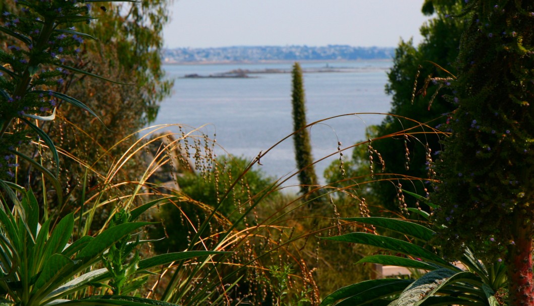 Bretagne Gärten: Botanischer Garten Roscoff 06