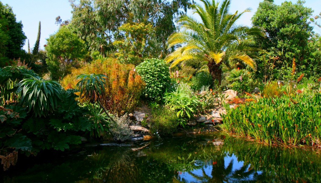 Bretagne Gärten: Botanischer Garten Roscoff 08