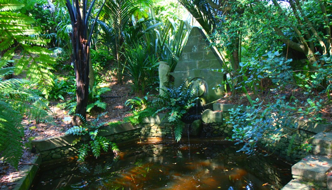 Bretagne Gärten: Botanischer Garten Roscoff 10