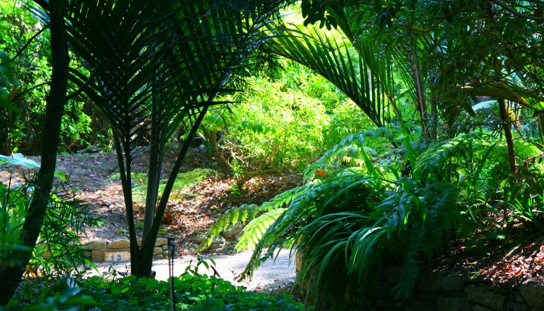 Bretagne Gärten: Botanischer Garten Roscoff 11