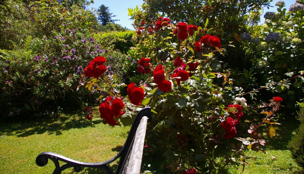 Gästezimmer Bretagne Le Colombier - Der Garten