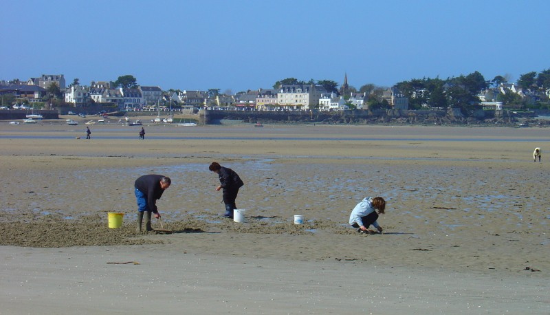 Bretagne Gezeiten Fischerei: Freizeit-Sammler