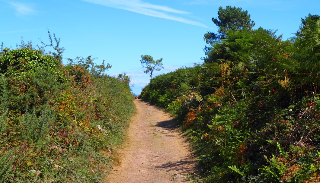 Zur Île Vierge - Der kleine Weg zum Meer