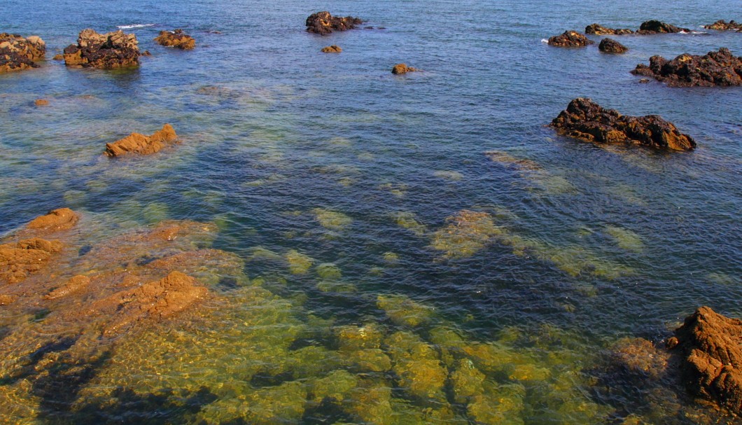 Côte Sauvage - Klares Wasser