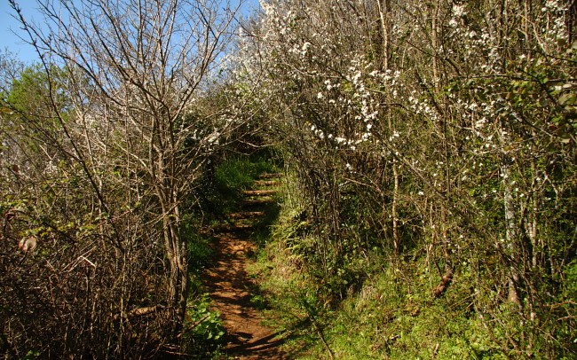 Der Mont-Dol am Tor der Bretagne: Fußweg