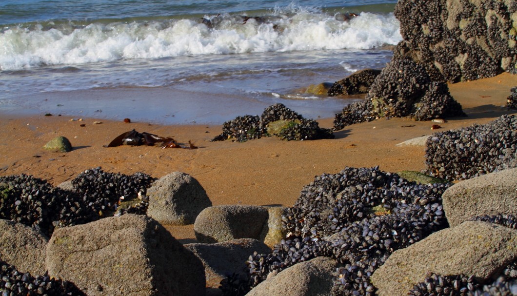 Pointe du Dourven - am Strand