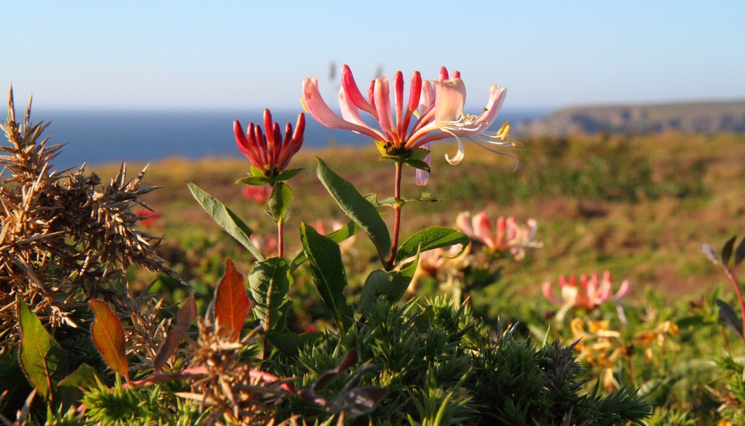 Pointe du Raz