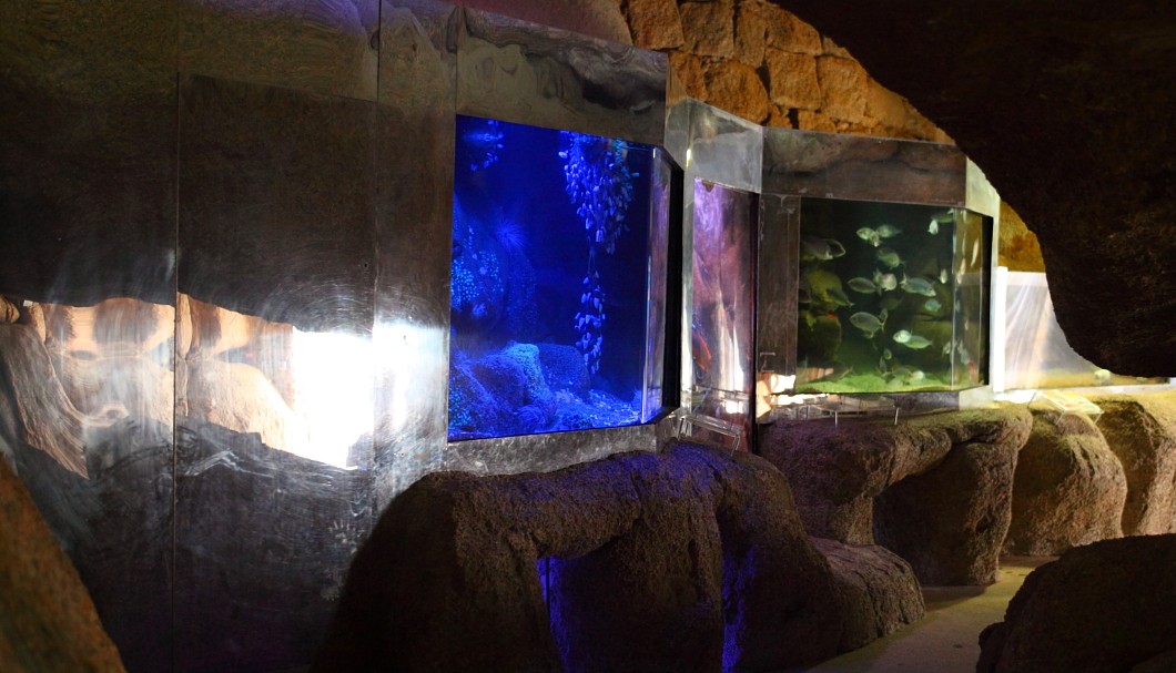 Aquarium Tregastel - Raum 1