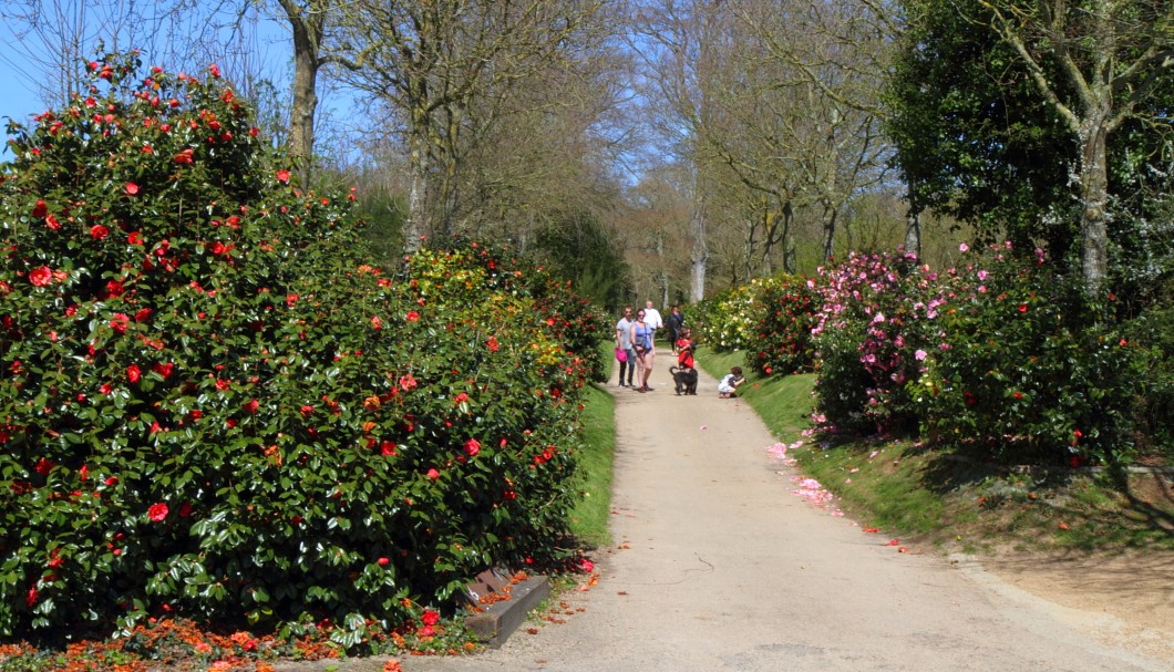 Bretagne-Gärten: Der Park von Schloss de la Roche Jagu