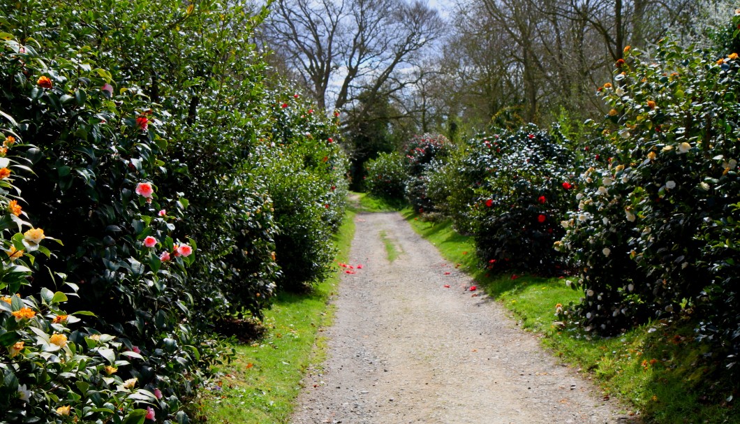 Bretagne Garten/Park Château de la Roche Jagu - 