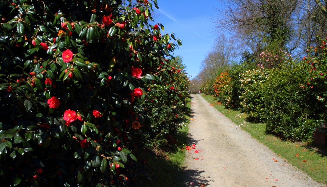 Bretagne Garten/Park Château de la Roche Jagu - 