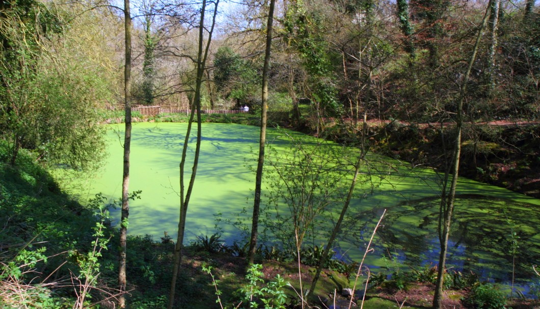 Bretagne Garten/Park Château de la Roche Jagu - Teich