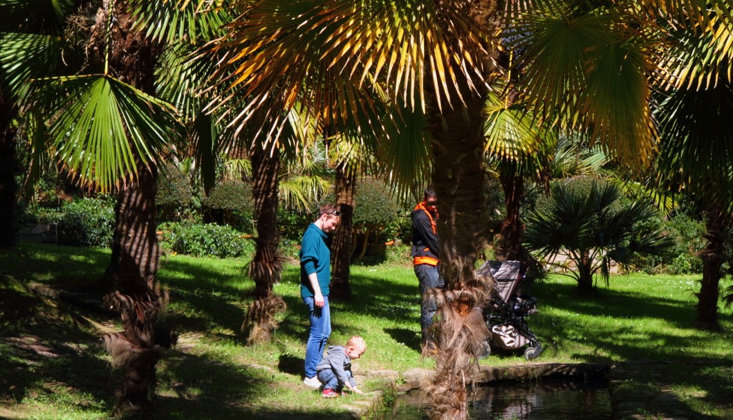 Bretagne Garten/Park Château de la Roche Jagu - Palmengarten