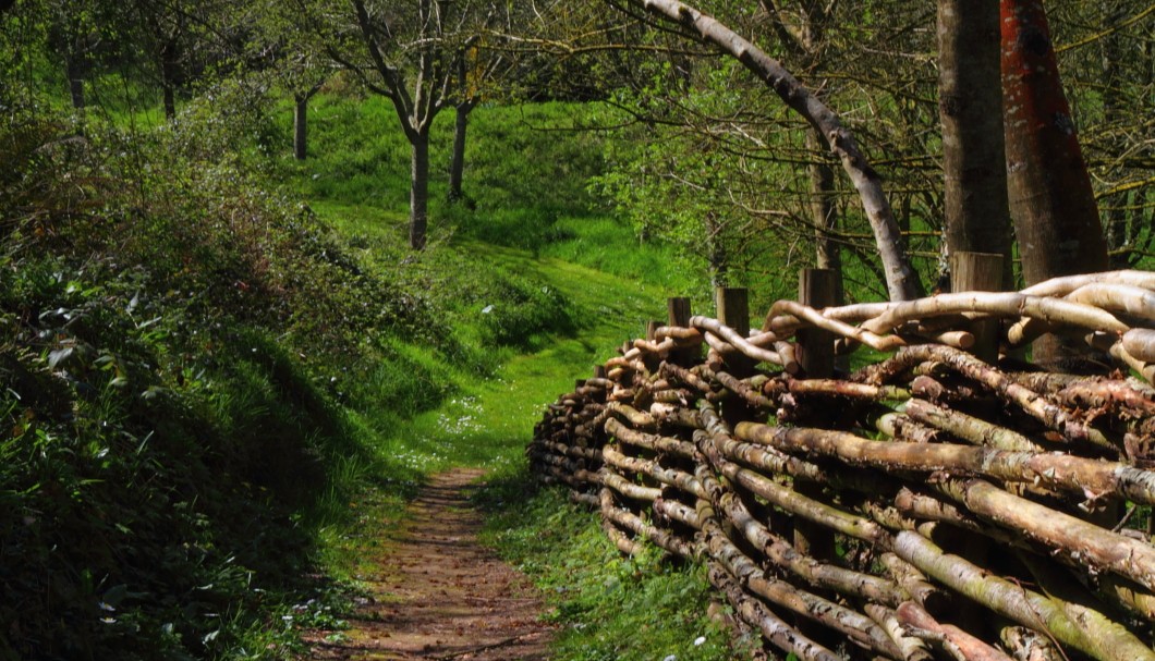 Bretagne Garten/Park Château de la Roche Jagu - Weg