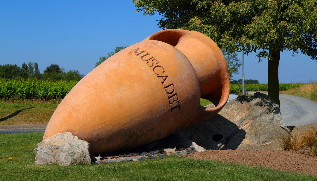 Die Weinberge von Nantes - Muscadet