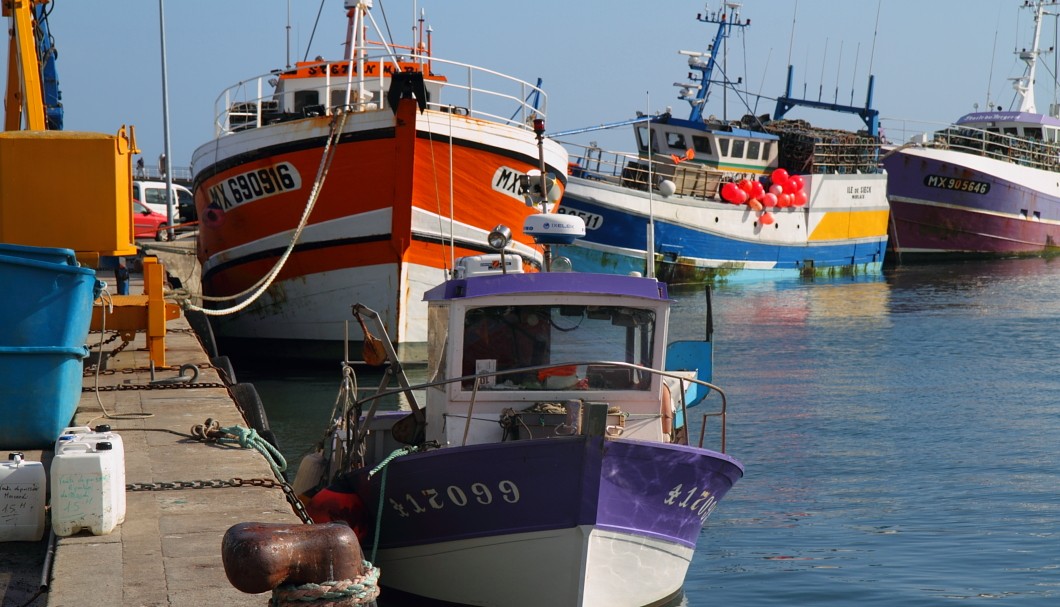 Bretagne Roscoff - Fischerboote