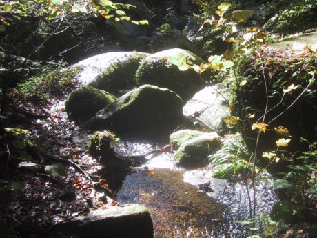 Der Wald von Huelgoat in der Bretagne