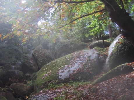 Der Wald von Huelgoat in der Bretagne