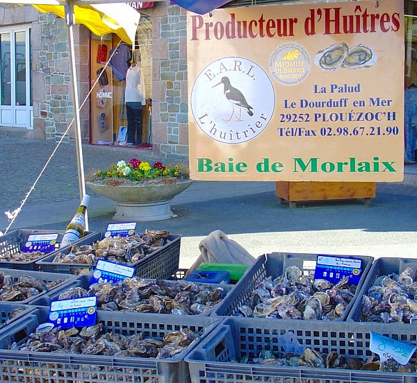 Bretagne - Markt Plestin-Les-Grèves: Austern vom regionalen Anbieter
