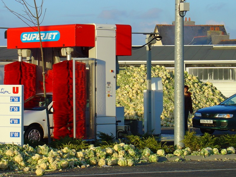 Bretonische Bauern lassen Blumenköpfe rollen