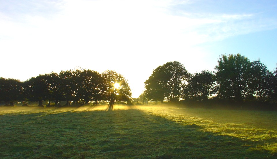 Die Bocage, die Wall- und Heckenlandlandschaft in der Bretagne.