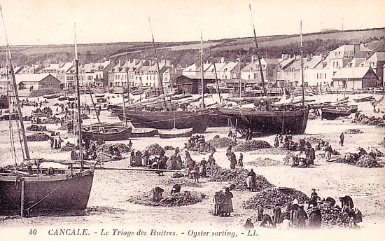 Bretagne-Austern: Das Sortieren der Austern im Hafen von Cancale.