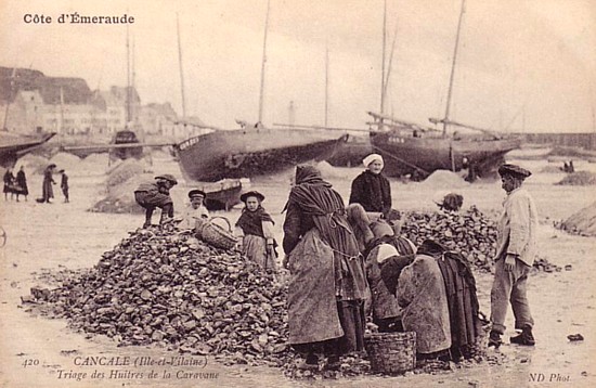 Bretagne-Austern: Das Sortieren der Austern im Hafen von Cancale.