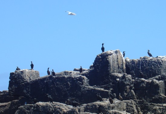 Bretagne-Inseln 