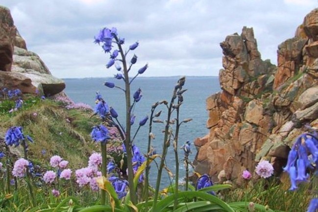 Wandern in der Bretagne: Pointe de Primel.