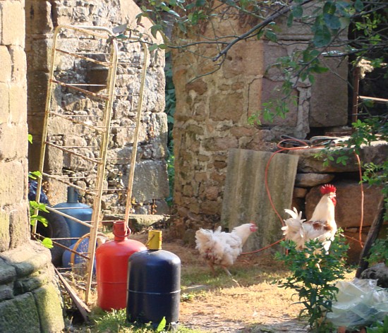 Bretagne-Burgen-Schlösser: Manoir Kermerzit.