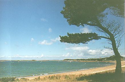 Bretagne Urlaub am Meer: Strand bei Trébeurden