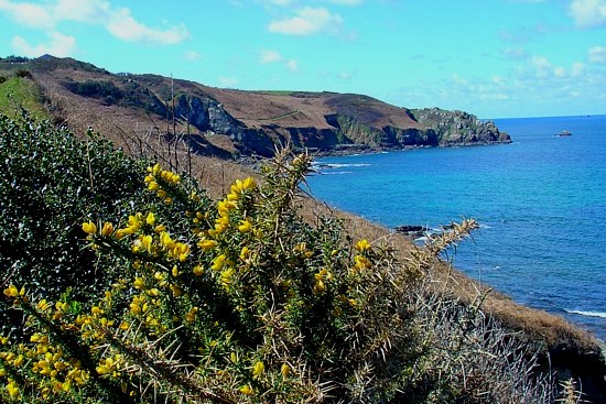 Wandern in der Bretagne: Ausblick auf Küstenlinie.