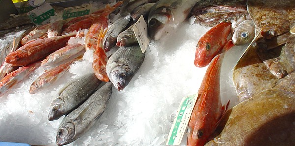 Bretagne - Markt Plestin-Les-Grèves: Fischangebot