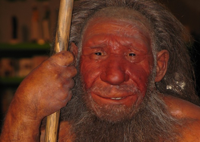 Nachbildung eines Neandertalers im Neandertal-Museum bei Düsseldorf.