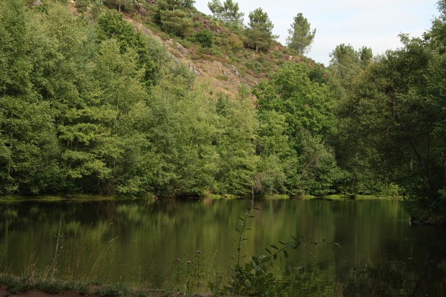 Der Wald von Paimpont in der Bretagne: Das Tal ohne Wiederkehr mit dem Feenspiegel im Zauberwald Bocéliande.